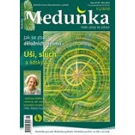 Meduňka