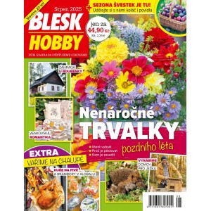 Blesk Hobby