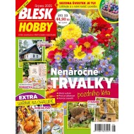 Blesk Hobby